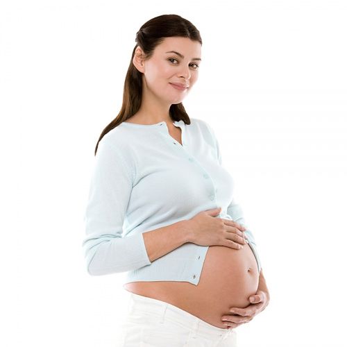 Các giai đoạn hình thành và phát triển của thai nhi
